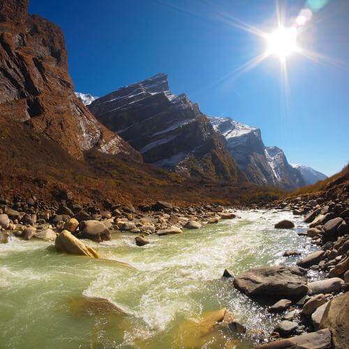 Charakterystyka dosz - PITTA