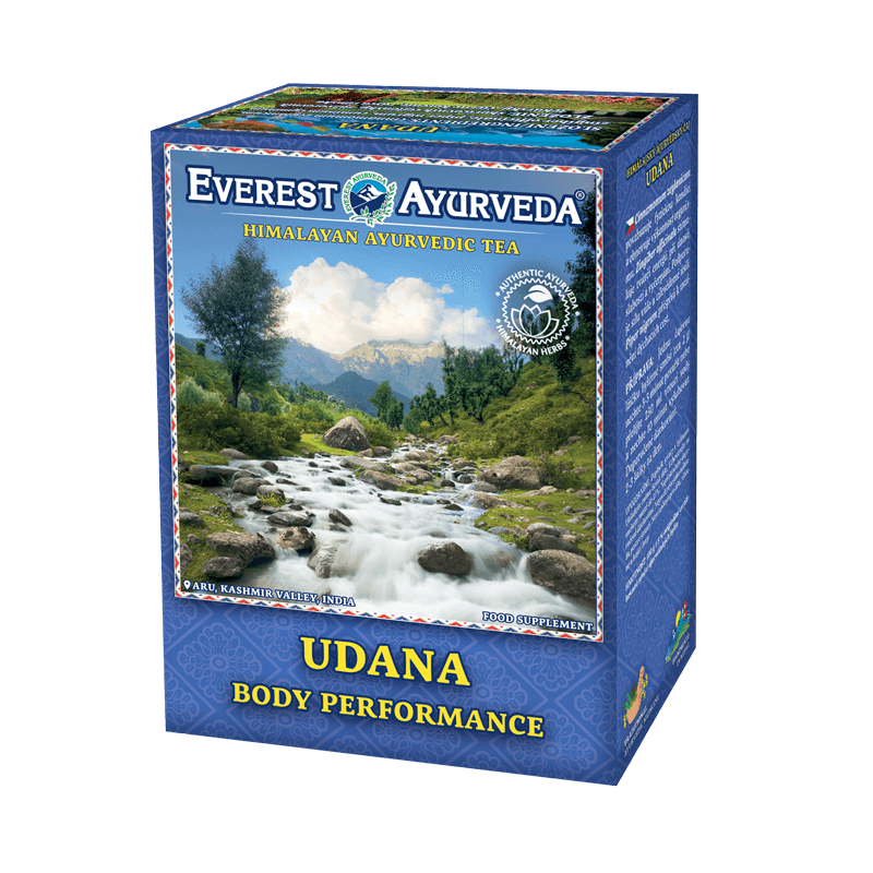 UDANA - Pobudzenie kondycji fizycznej