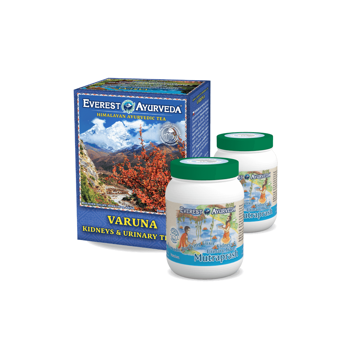 Detoksykacja nerek i dróg moczowych