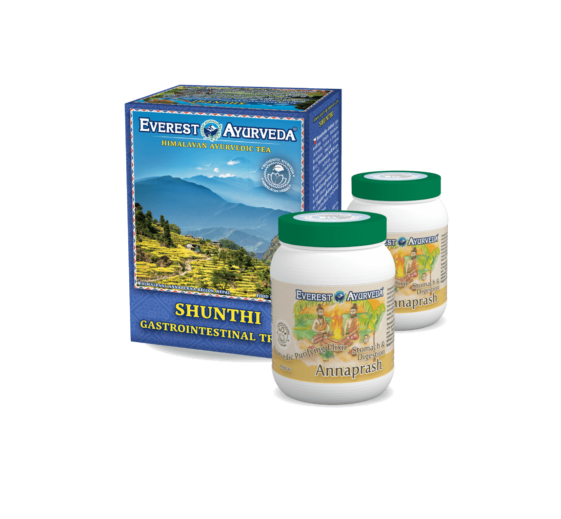 Detoksykacja układu jelitowego