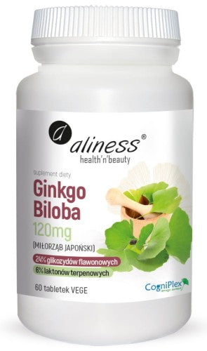 Ginko Bilboa 120mg