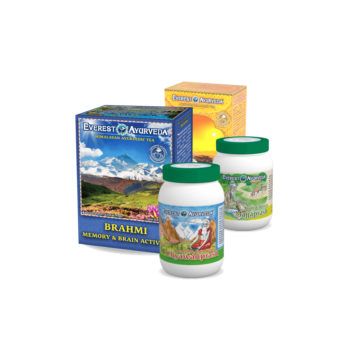 Pamięć & koncentracja